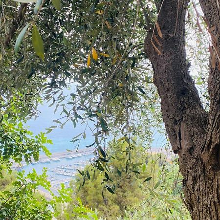 “Da Senso” Relax nel verde vista mare Finale Ligure Esterno foto