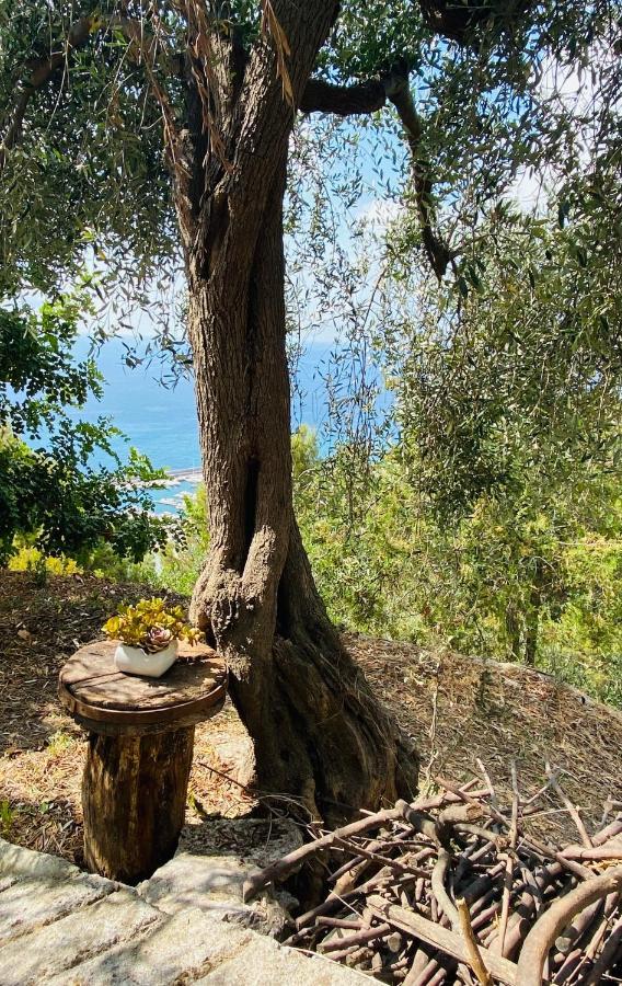 “Da Senso” Relax nel verde vista mare Finale Ligure Esterno foto